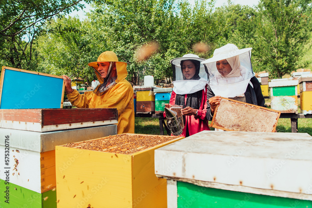 Arab investors checking the quality of honey on a large bee farm in which they have invested their money. The concept of investing in small businesses Arab investors checking the quality of honey on a large bee farm in which they have invested their money. The concept of investing in small businesses