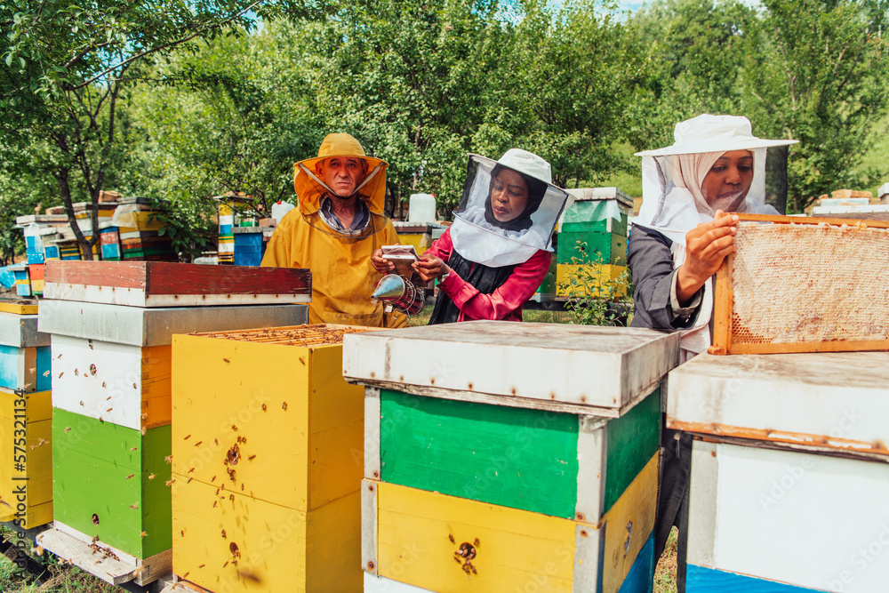 Arab investors checking the quality of honey on a large bee farm in which they have invested their money. The concept of investing in small businesses Arab investors checking the quality of honey on a large bee farm in which they have invested their money. The concept of investing in small businesses