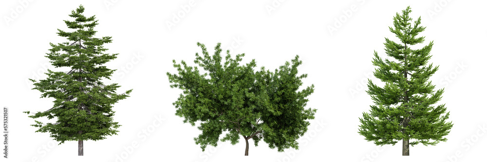various tree isolated on white, photorealistic render various tree isolated on white, photorealistic render