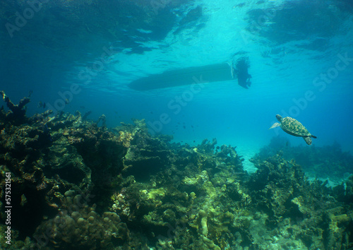 a sea turtle and a boat in the crystal clear waters of the caribbean sea