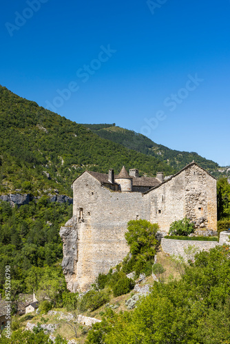 Gorges du Tarn  Occitania region  Aveyron department  France