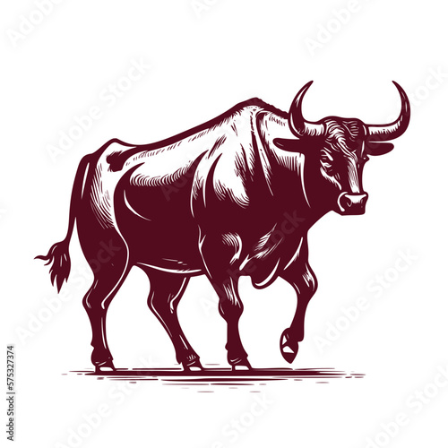Bull with horns. Hand drawn vintage engraving style woodcut vector illustration Eps 10