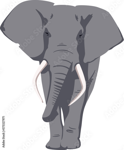 An illustration of a gray elephant with huge tusks walking toward us. Isolated on a white background. Vector illustration Слон