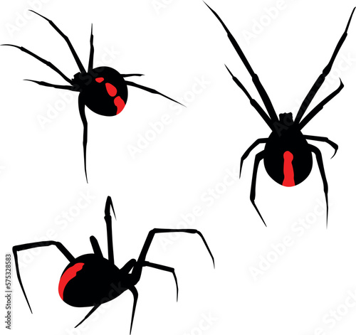 Spiders vector illustration. Collection of poisonous spiders