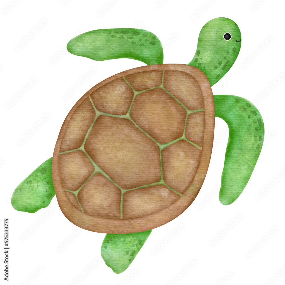 Cute Turtle Drawing Picture - Drawing Skill
