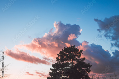 Sunset lighting up clouds over a lone pine tree
