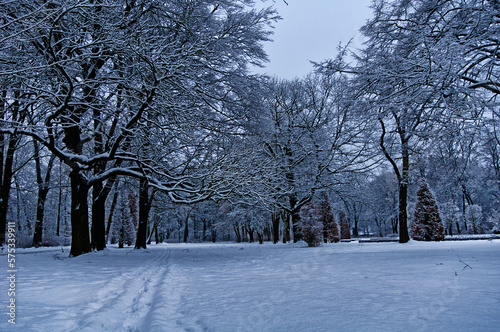 winter, schnee, baum, erkältung, Winterlandschaft, park, wald, Pfad, landschaft, natur, weiß, frost, schneebedeckt, jahreszeit, bahn, gefroren, himmel, eis, blau, allee, ausserhalb, wetter, ast, kalt,