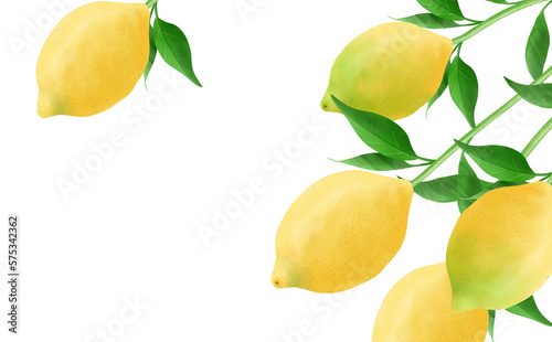 葉付レモンのイラスト素材 白背景