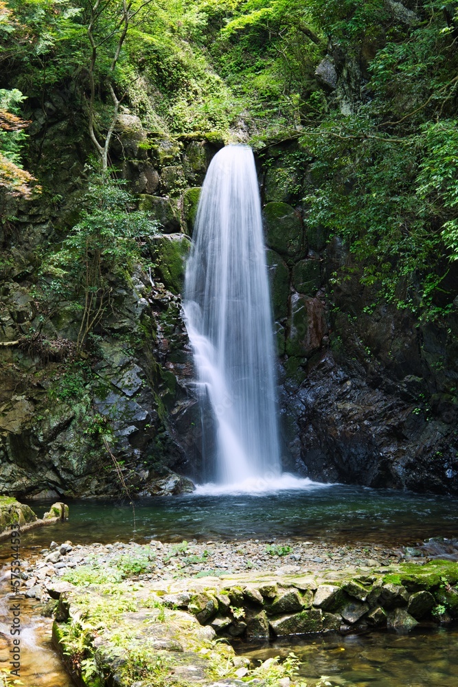 広大な滝 広大な滝