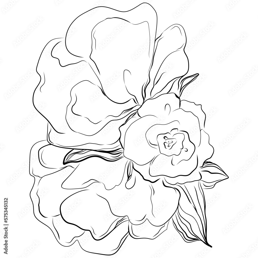 Line drawing flowers, wild flowers, hand drawn vector illustration. Line drawing flowers, wild flowers, hand drawn vector illustration.