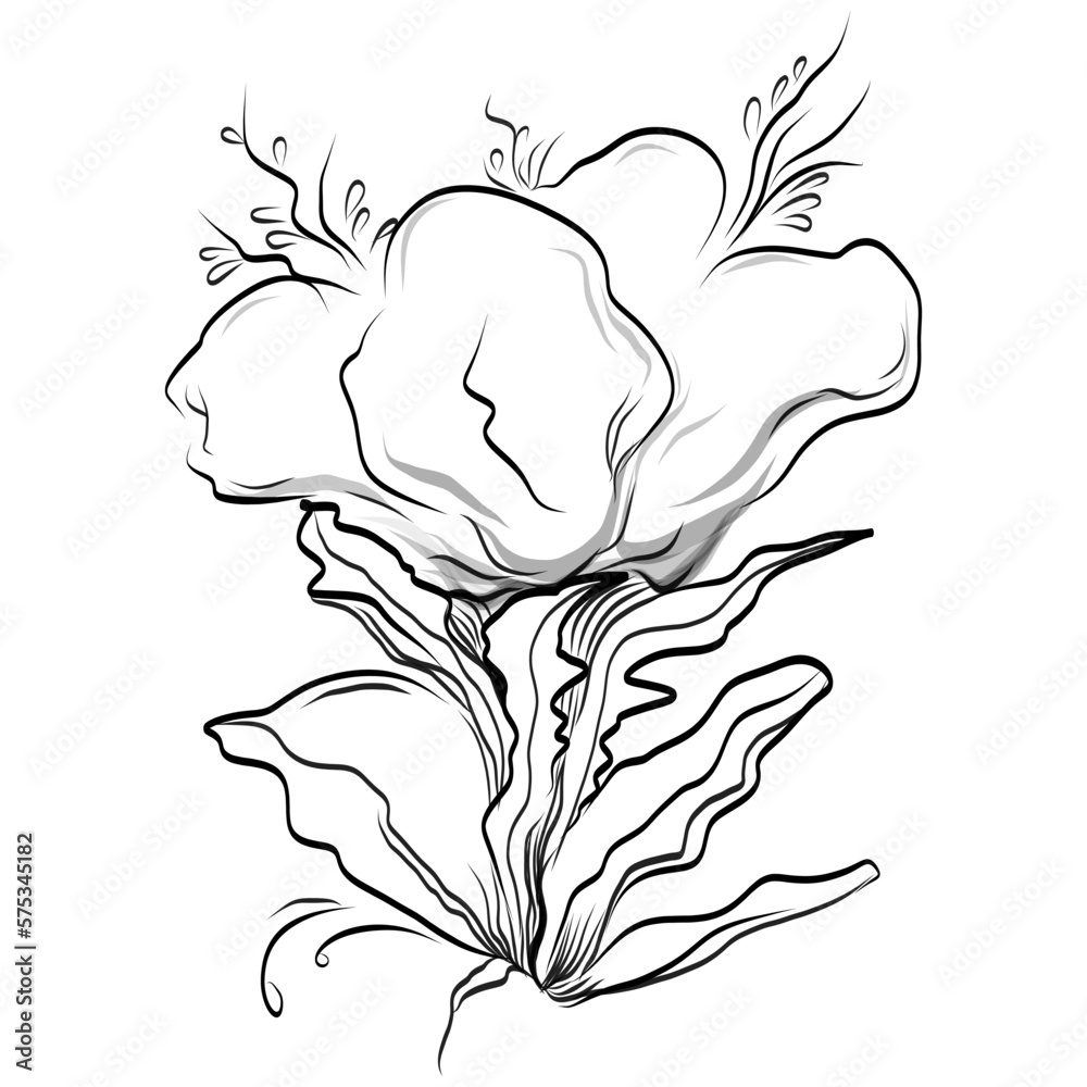 Line drawing flowers, wild flowers, hand drawn vector illustration.
