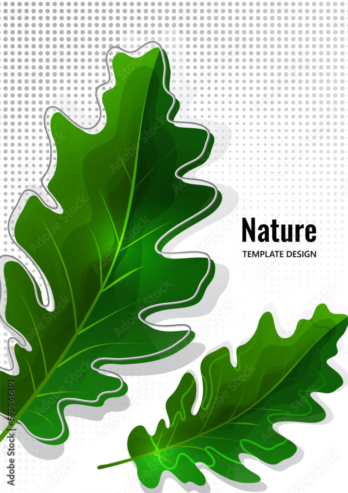 Green oak leaf isolated on white background. Vector Green oak leaf isolated on white background. Vector