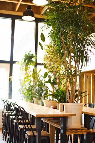 カフェの店内イメージ