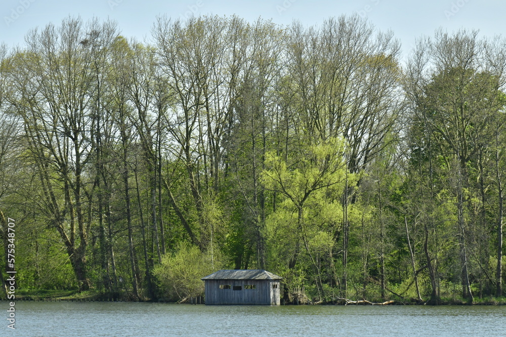 Cabanon d'observation sous la végétation luxuriante au grand étang du domaine provincial de Kessel-Lo au nord de Louvain Cabanon d'observation sous la végétation luxuriante au grand étang du domaine provincial de Kessel-Lo au nord de Louvain