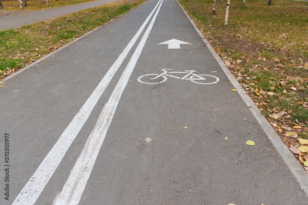 road in the park