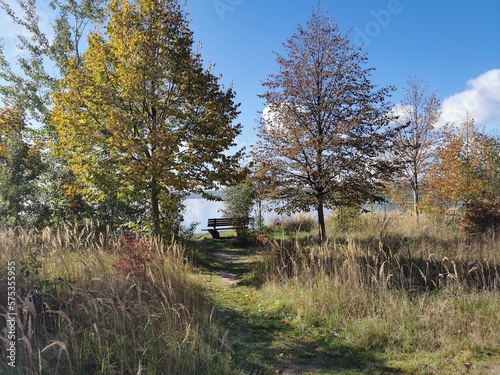 Bild auf Leinwand Herbstliche Stimmung an den Ufern des Berzdorfer Sees bei Görlitz