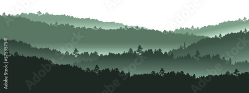 Forest black forest woods vector illustration banner landscape panorama - Green view silhouette of spruce and fir trees with misty fog, isolated on white background