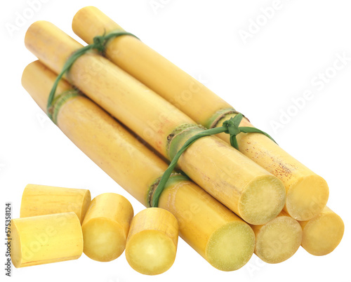 Piece of sugarcane