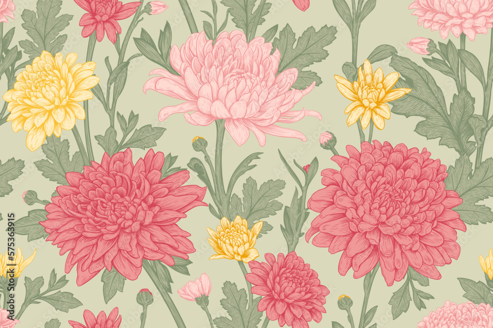 Beautiful seamless pattern with hand drawn pink, red and yellow flowers of Chrysanthemum on a light olive background. Vector illustration of Chrysanthemum. Floral elements for textile design