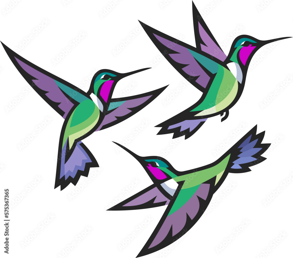 Obraz premium Stylized Birds - Hummingbirds in flight