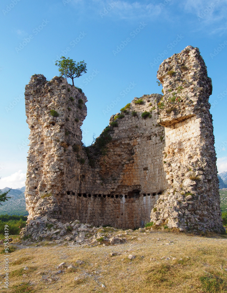 old tower with tree in starigrad paklenica croatia