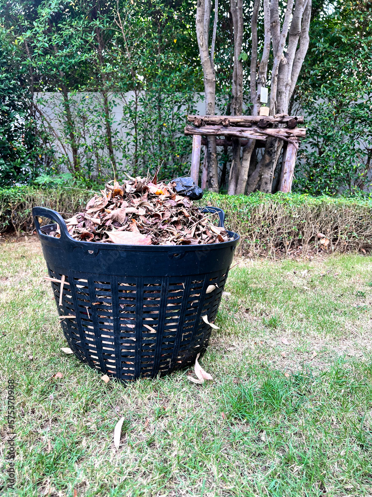 Autumn leaves collected in a pile in the Garden. Autumn leaves collected in a pile in the Garden.