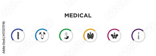 medical filled icons with infographic template. glyph icons such as vertebra, bladder, esophagus, thyroid gland, pelvic area, dentist tool vector.