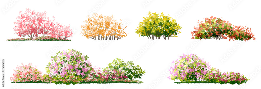 Vector watercolor blooming flower tree side view isolated for landscape and architecture drawing, elements for environment and garden,botanical elements for section in spring 
