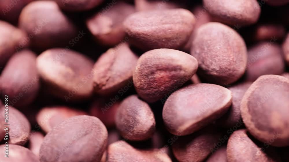 Pine nut grains in a shell in bulk Pine nut grains in a shell in bulk