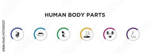 human body parts filled icons with infographic template. glyph icons such as digestive system, big lips, two spermatozoon, foot side view, two kidneys, male e of a line vector.