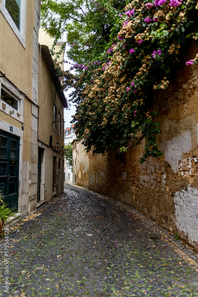 Quiet cobblestone street scene in Lisbon Portugal