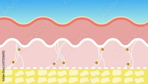Skin care products and collagen fibers. skin rejuvenation with hyaluronic acid, cream or lotion.