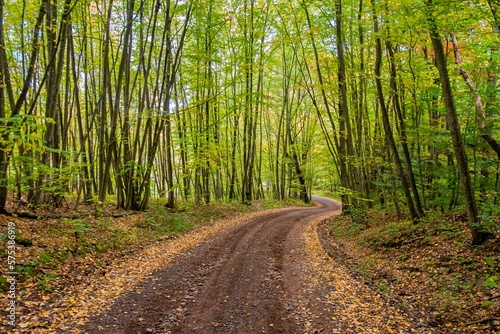 Curved single-lane dirt country road through forest in early Autumn. Leaves are beginning to fall and a hint of changing color is seen in the trees as seasons change.