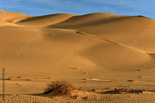Fototapeta Naklejka Na Ścianę i Meble -  SAHARA SAND DUNES NEAR DJANET OASIS IN ALGERIA