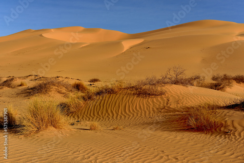 Fototapeta Naklejka Na Ścianę i Meble -  SAHARA SAND DUNES NEAR DJANET OASIS IN ALGERIA
