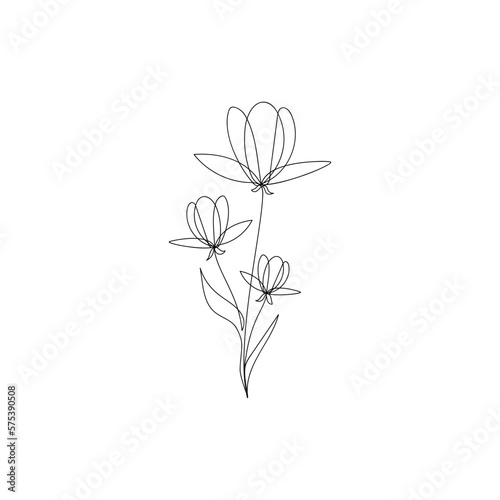 Flower drawn in one line. Sketch. Continuous line drawing botanical art. Vector illustration in doodle style.