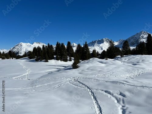Wonderful winter hiking trails and traces in the fresh alpine snow cover of the Swiss Alps and over the tourist resort of Arosa - Canton of Grisons  Switzerland  Schweiz 