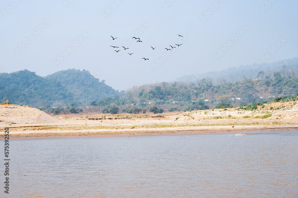 Flock of geese flying over the river in Sylhet, Bangladesh