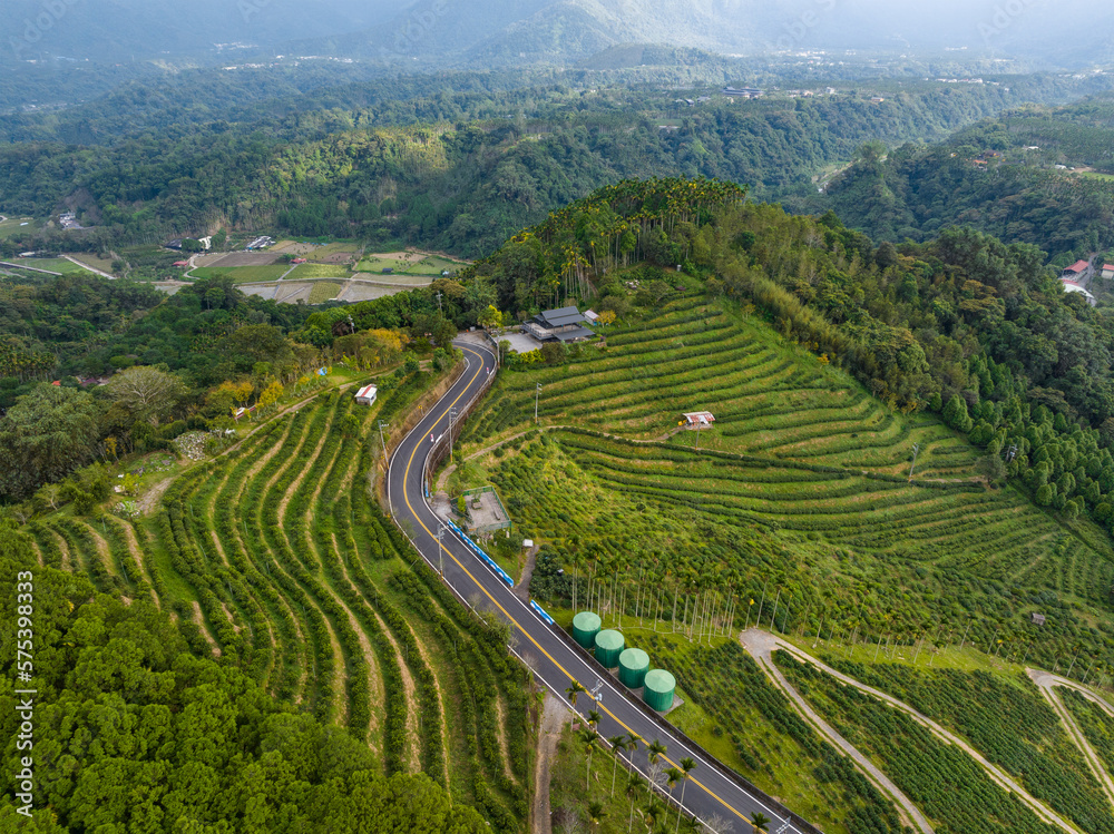 Fototapeta premium Top view of the tea farm on the mountain