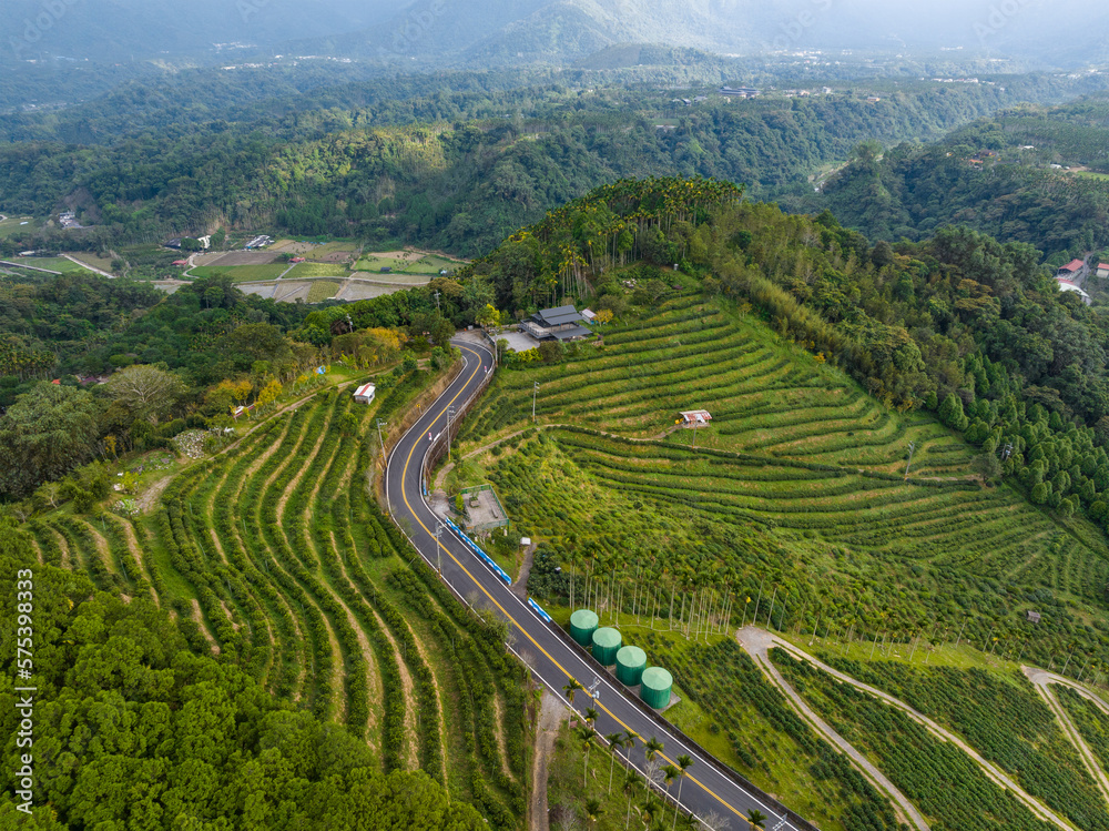 Top view of the tea farm on the mountain
