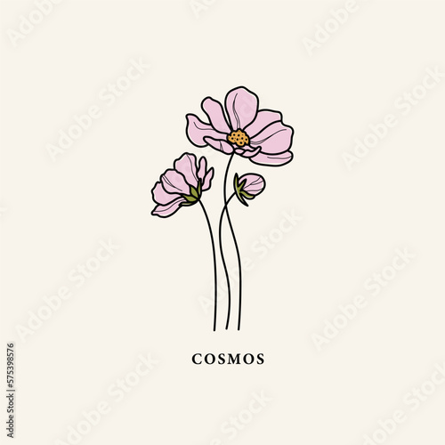 Line art cosmos flower drawing