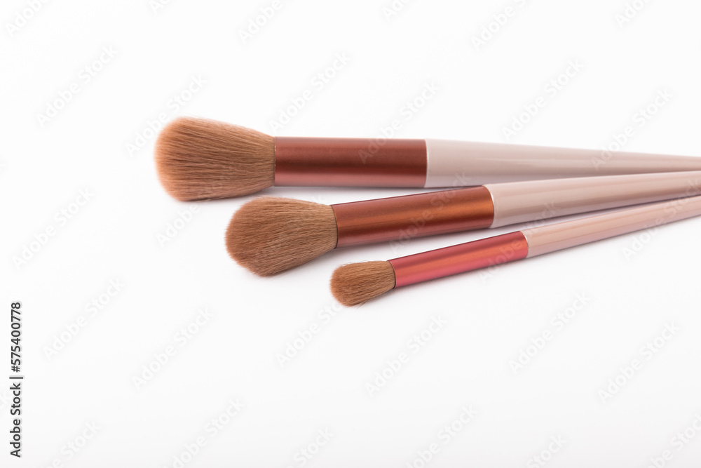 Cosmetic makeup brush isolated on white background. Professional makeup brush set. Cosmetic makeup brush isolated on white background. Professional makeup brush set.