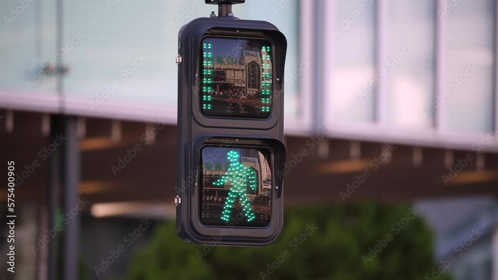 Pedestrian Traffic Light Changing Red to Green Signs in Tokyo, Japan