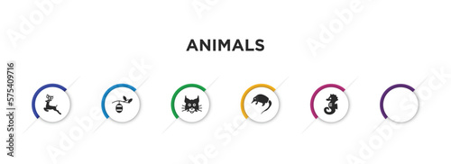 animals filled icons with infographic template. glyph icons such as roe, cocoon, lynx, desman, flying dove, sea horse vector.