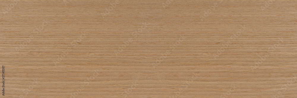 Natural oak texture. Wood texture. Oak board for furniture production. Untreated plank of young oak with fine texture in light color - obrazy, fototapety, plakaty 