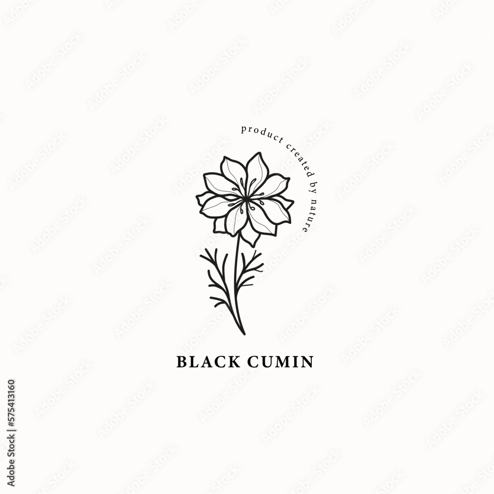 Line art black cumin or nigella sativa illustration Line art black cumin or nigella sativa illustration