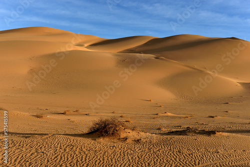 SAHARA DESERT LANDSCAPE WITH SAND DUNES IN ALGERIA AROUND DJANET OASIS