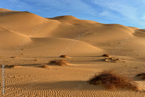 Fototapeta Naklejka Na Ścianę i Meble -  SAHARA DESERT LANDSCAPE WITH SAND DUNES IN ALGERIA AROUND DJANET OASIS