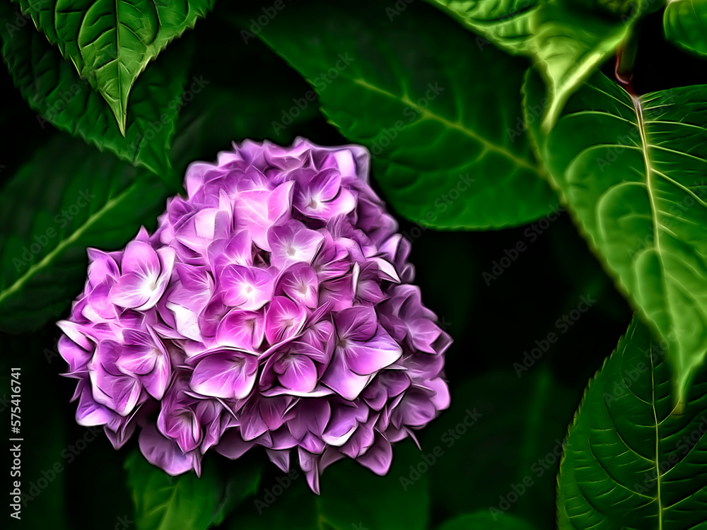 Illustration of blooming lilac flowers close-up framed by leaves Illustration of blooming lilac flowers close-up framed by leaves