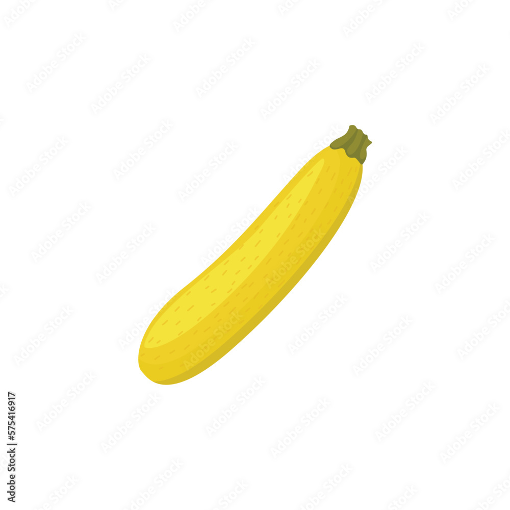 Straightneck squash, yellow squash. Yellow summer squash. Vector illustration isolated on white background. For template label, packing, web, menu, logo, textile, icon Straightneck squash, yellow squash. Yellow summer squash. Vector illustration isolated on white background. For template label, packing, web, menu, logo, textile, icon